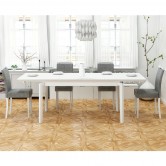 Стол обеденный ROIS (белый) и стулья CLARION (4 шт) - Halmar 
