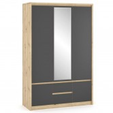 Купить Шкаф Доминика 3Д2Ш артисан/серый - Мебель Сервис в Измаиле