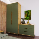 Шкаф Swan Бали зеленый