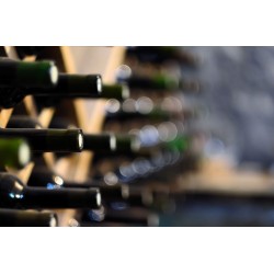 Зберігання вина: з погребом або без нього, кращі рішення
