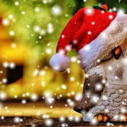 Рождественские украшения: 47 оригинальных и дешевых идей декора | coolhouse.com.ua
