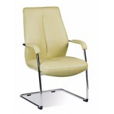 SONATA steel CF LB chrome Кресла для руководителя Новый стиль - Новый стиль 