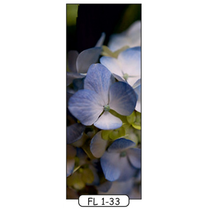 Фотодрук на 1 двері рис.FL-1-33 - Квіти