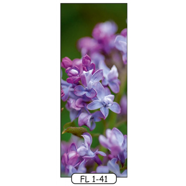 Фотодрук на 1 двері рис.FL-1-41 - Квіти