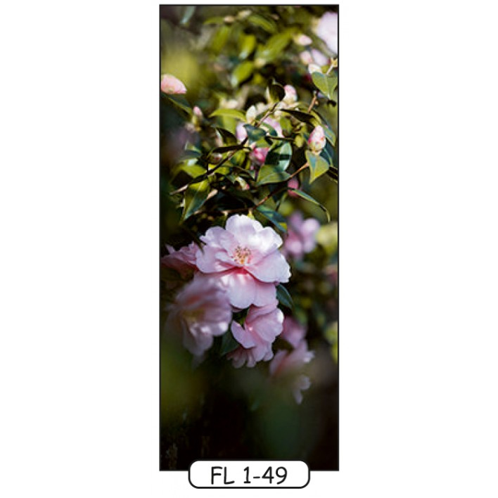 Фотодрук на 1 двері рис.FL-1-49 - Квіти