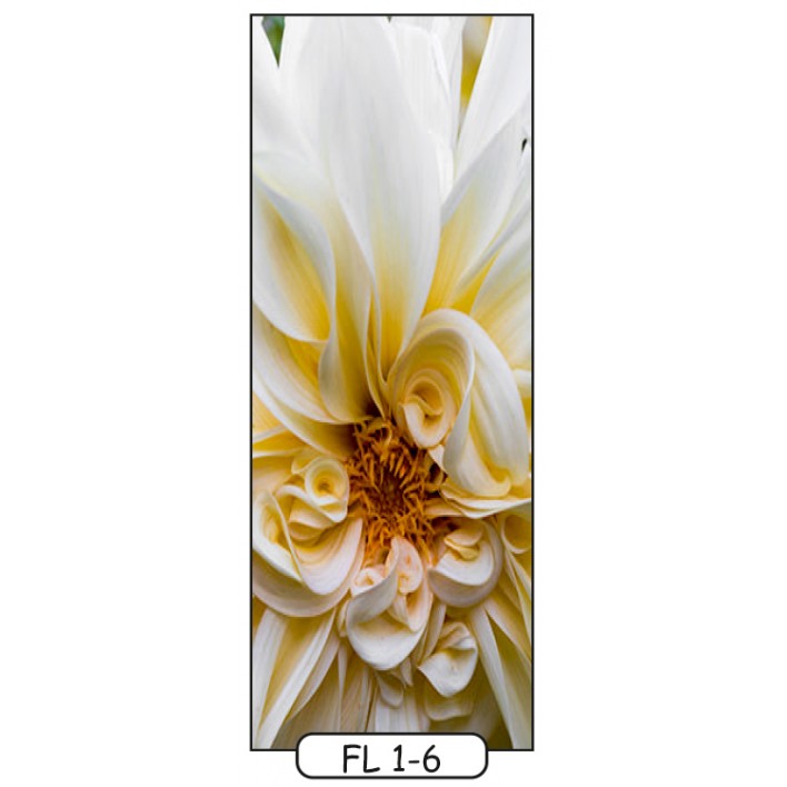 Фотодрук на 1 двері рис.FL-1-6 - Квіти