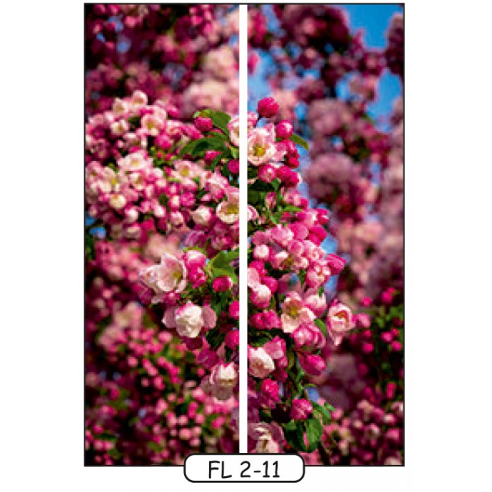 Купити Фотодрук на 2 двері рис.FL-2-11 - Квіти - Фенікс в Житомирі