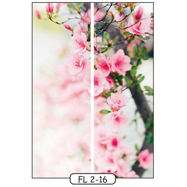 Фотодрук на 2 двері рис.FL-2-16 - Квіти