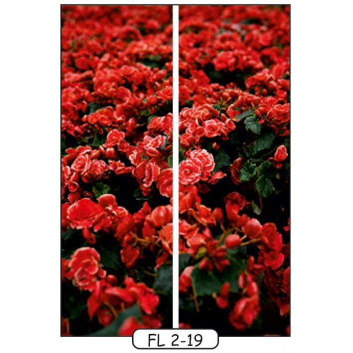 Купить Фотопечать на 2 двери рис.FL-2-19 - Цветы - Феникс в Измаиле