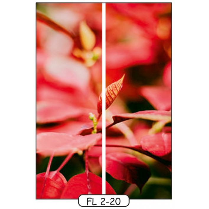  Фотопечать на 2 двери рис.FL-2-20 - Цветы - Феникс 