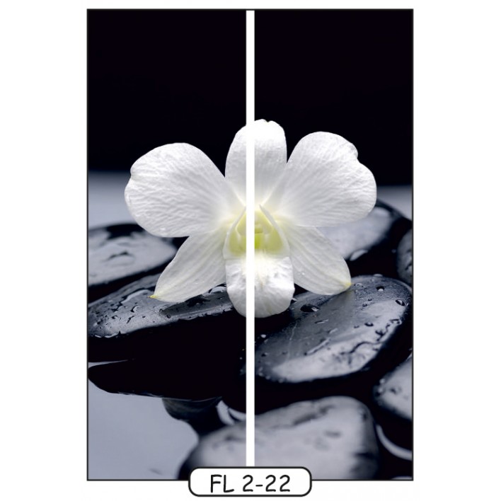 Купити Фотодрук на 2 двері рис.FL-2-22 - Квіти - Фенікс в Житомирі