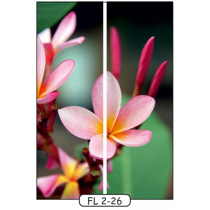 Купити Фотодрук на 2 двері рис.FL-2-26 - Квіти - Фенікс в Ізмаїлі