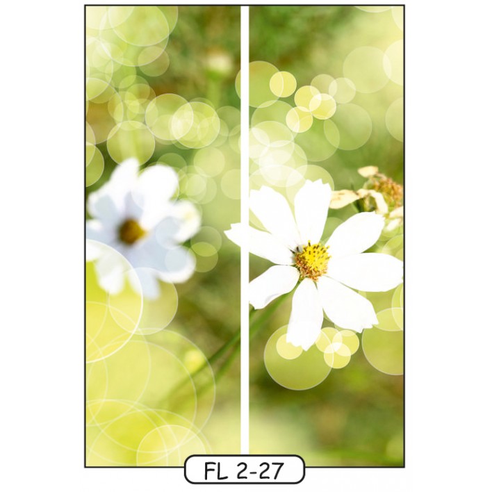 Фотодрук на 2 двері рис.FL-2-27 - Квіти