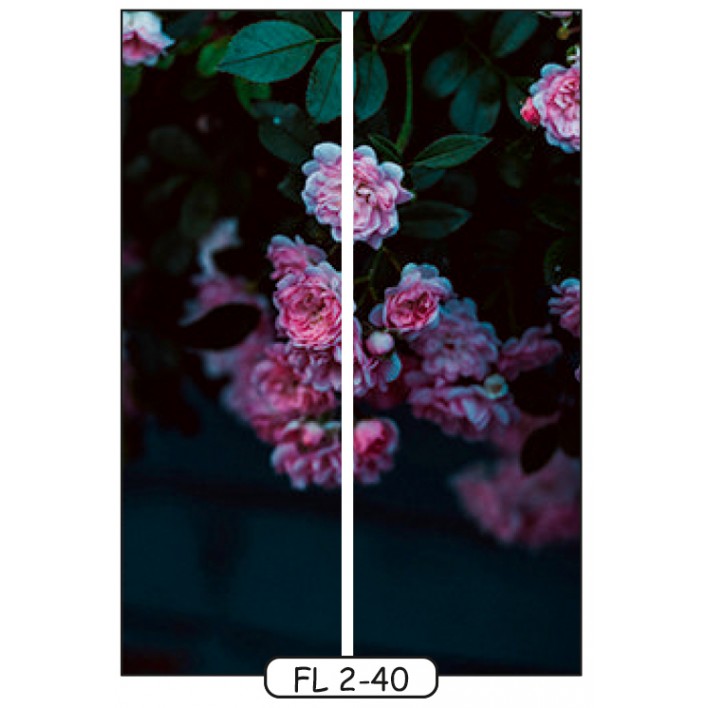 Фотодрук на 2 двері рис.FL-2-40 - Квіти