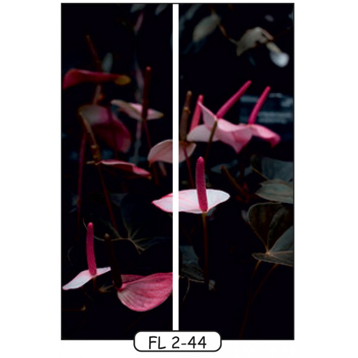 Фотодрук на 2 двері рис.FL-2-44 - Квіти