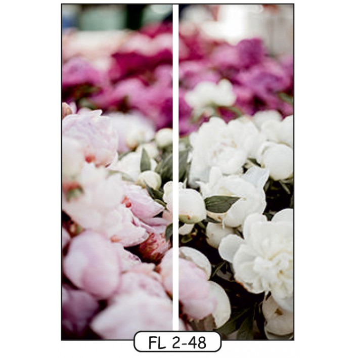 Фотопечать на 2 двери рис.FL-2-48 - Цветы