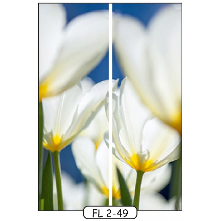 Купити Фотодрук на 2 двері рис.FL-2-49 - Квіти - Фенікс в Житомирі