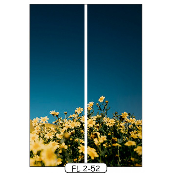 Фотодрук на 2 двері рис.FL-2-52 - Квіти