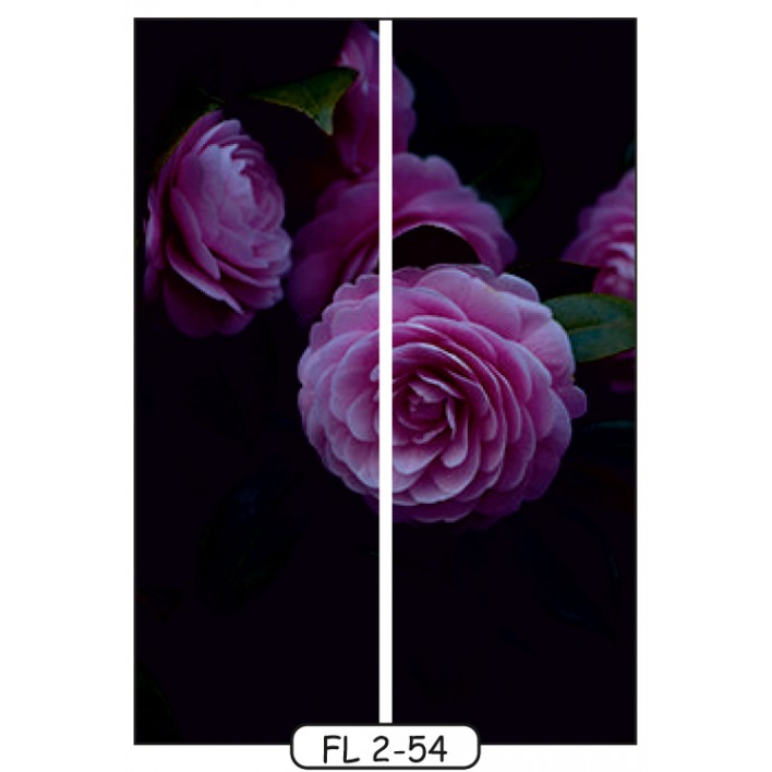 Купить Фотопечать на 2 двери рис.FL-2-54 - Цветы - Феникс в Житомире