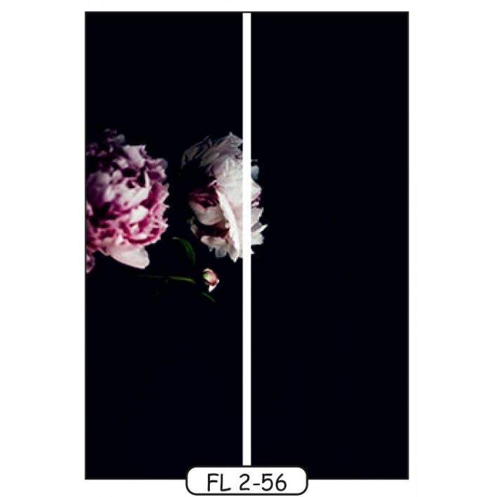 Фотодрук на 2 двері рис.FL-2-56 - Квіти