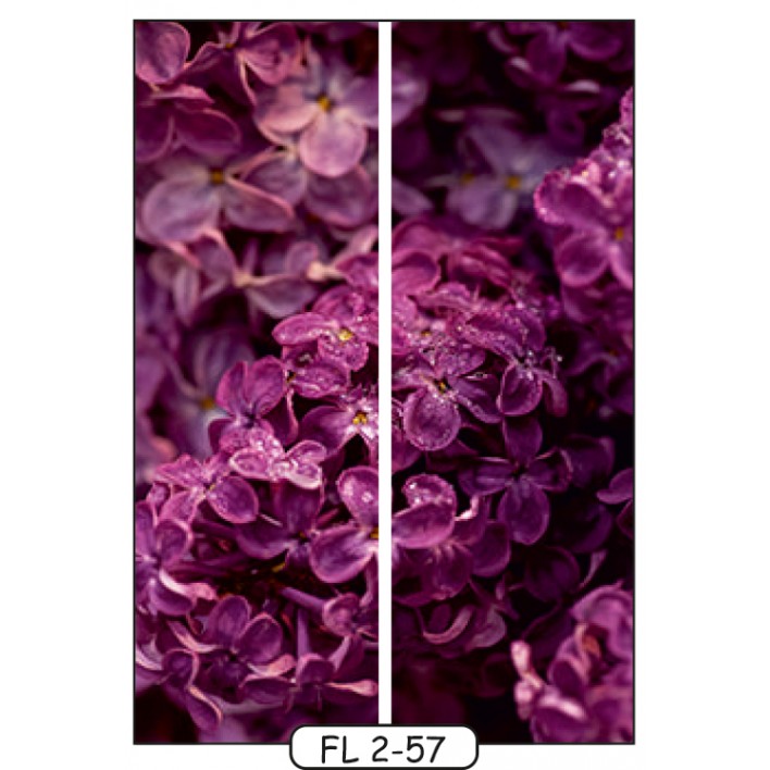 Купить Фотопечать на 2 двери рис.FL-2-57 - Цветы - Феникс в Житомире