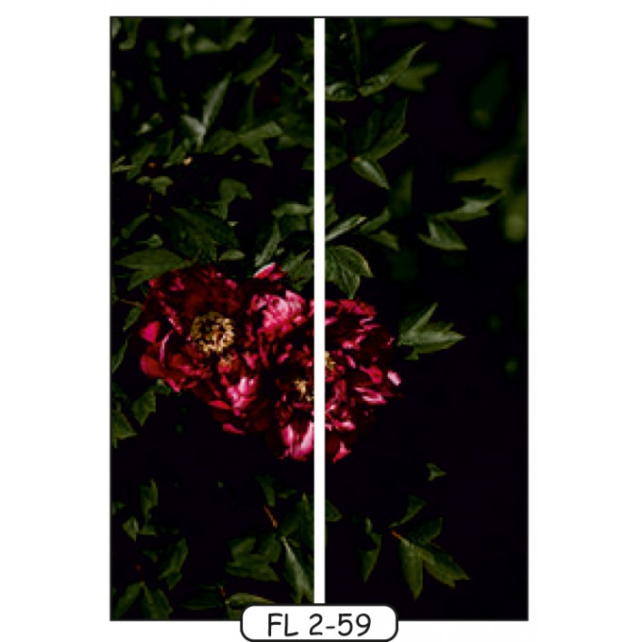Купить Фотопечать на 2 двери рис.FL-2-59 - Цветы - Феникс  в Николаеве