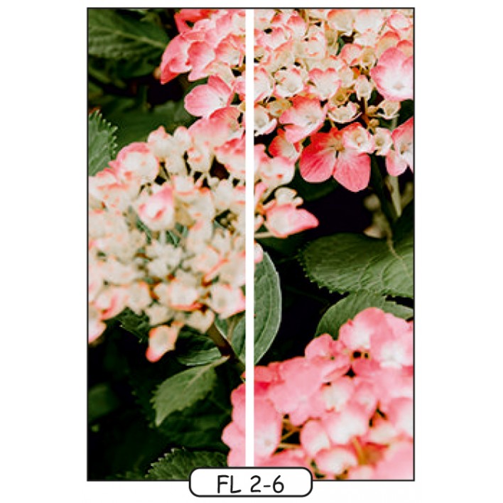 Фотодрук на 2 двері рис.FL-2-6 - Квіти