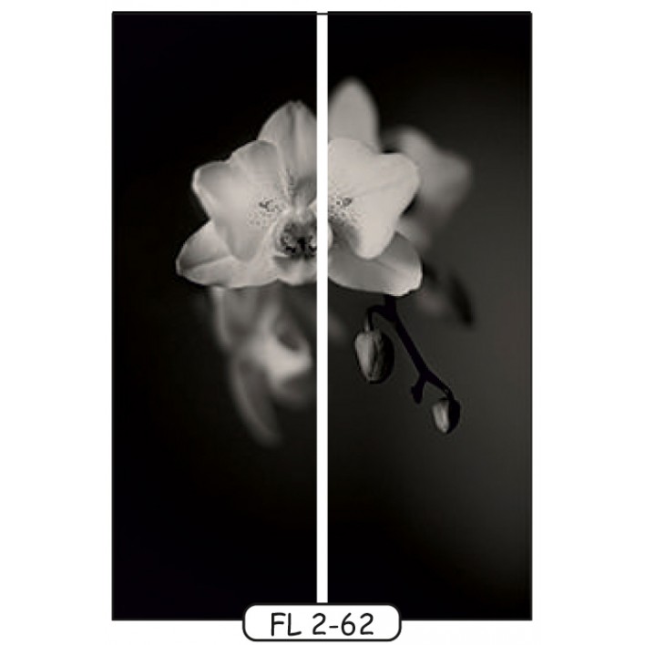 Фотодрук на 2 двері рис.FL-2-62 - Квіти