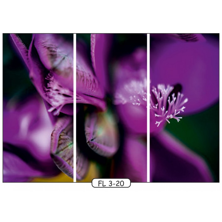 Фотодрук на 3 двері рис.FL-3-20 - Квіти