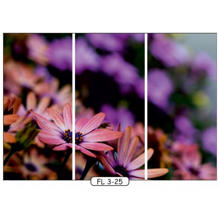 Фотодрук на 3 двері рис.FL-3-25 - Квіти