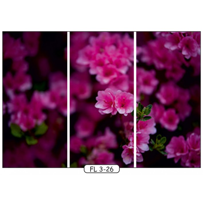 Купить Фотопечать на 3 двери рис.FL-3-26 - Цветы - Феникс  в Николаеве