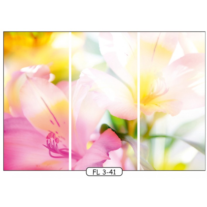 Купить Фотопечать на 3 двери рис.FL-3-41 - Цветы - Феникс в Житомире