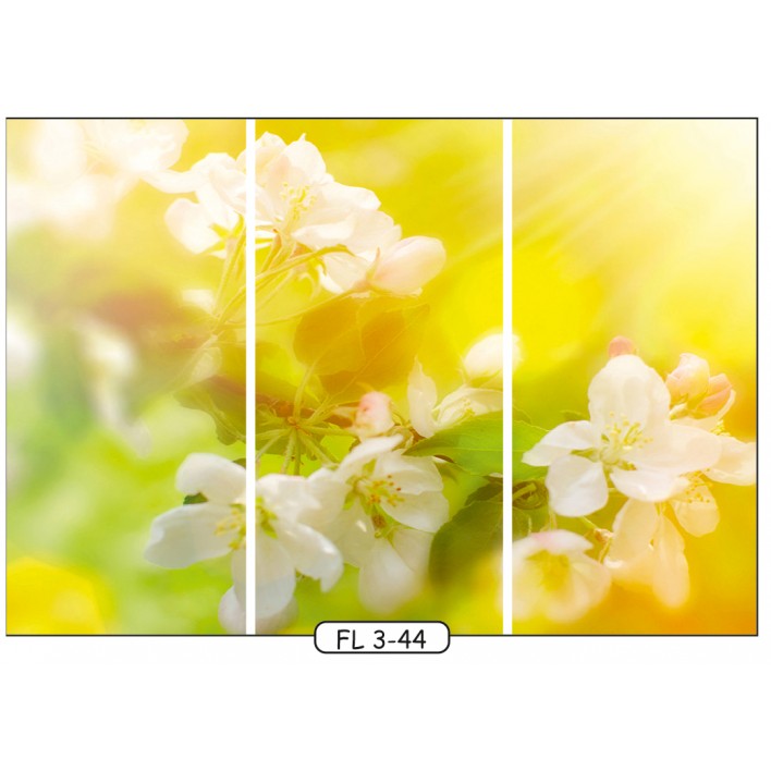 Купить Фотопечать на 3 двери рис.FL-3-44 - Цветы - Феникс  в Николаеве