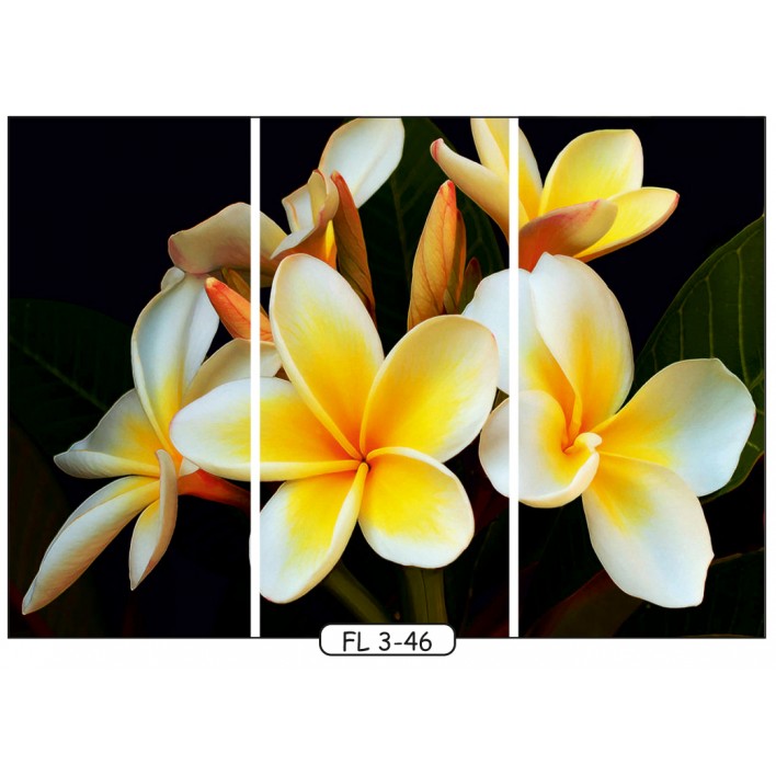 Купити Фотодрук на 3 двері рис.FL-3-46 - Квіти - Фенікс в Ізмаїлі