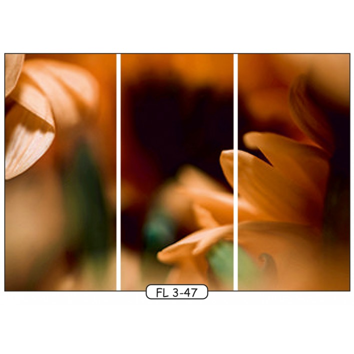 Купить Фотопечать на 3 двери рис.FL-3-47 - Цветы - Феникс  в Николаеве