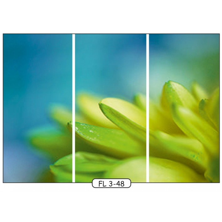 Фотопечать на 3 двери рис.FL-3-48 - Цветы