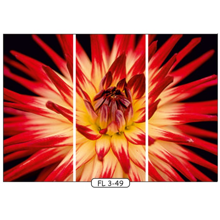 Купить Фотопечать на 3 двери рис.FL-3-49 - Цветы - Феникс в Житомире