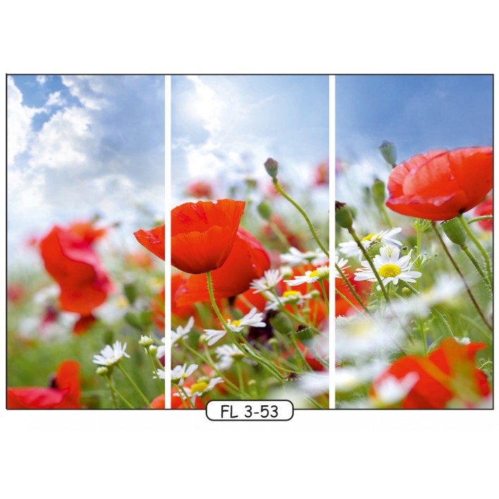 Купить Фотопечать на 3 двери рис.FL-3-53 - Цветы - Феникс в Житомире