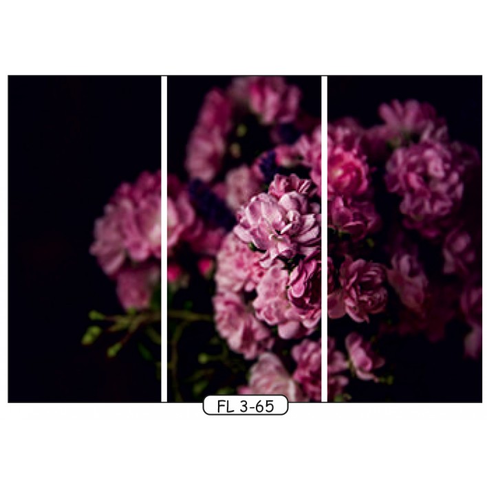 Фотодрук на 3 двері рис.FL-3-65 - Квіти