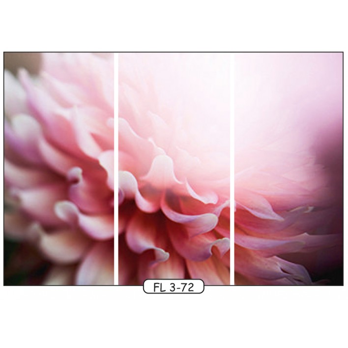 Фотодрук на 3 двері рис.FL-3-72 - Квіти